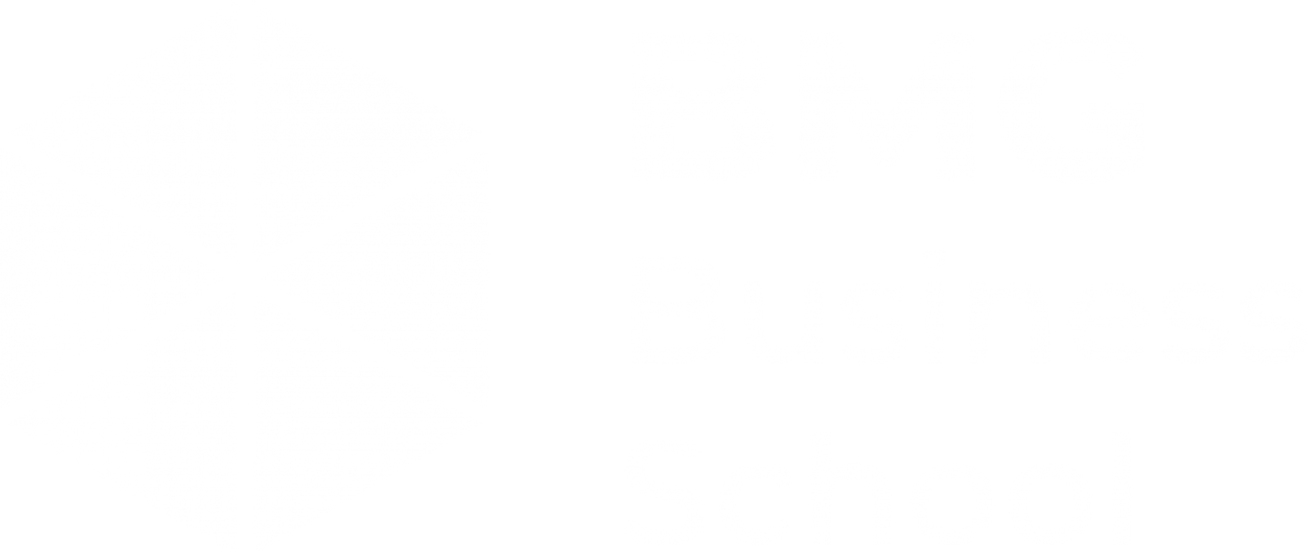 BMG Business Training